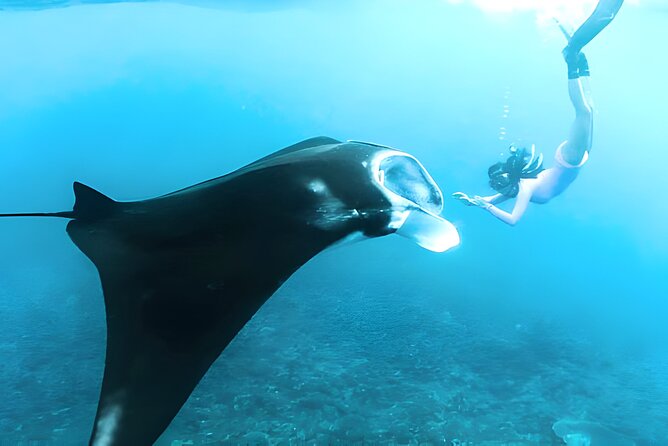 Nusa Penida Island Beach Tours with Snorkeling From Bali - Getting from Kuta to Penida: transfers plus a speedboat reality check