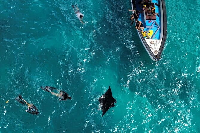 Nusa Penida Private Snorkeling and Land Tour Start from Bali - Key highlights to know before you go