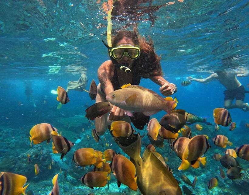 Nusa Penida: Snorkeling 3-4 spots and island tour with guide - Manta Bay, Crystal Bay, and Gamat Bay: how the spots build your underwater day