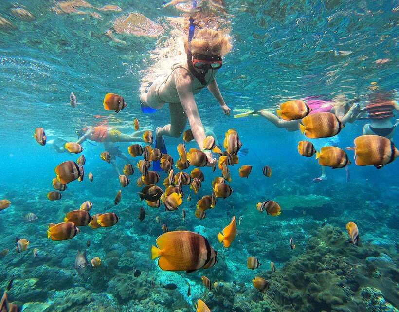 Nusa Penida: Snorkeling 3-4 spots and island tour with guide - The Wall snorkeling stop: what you gain and why conditions rule it