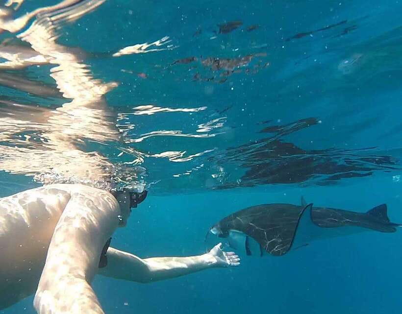 Nusa Penida: Snorkeling 3-4 spots and island tour with guide - Price and value: what $10 really buys, and what to double-check