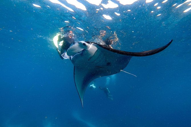Nusa Penida Snorkeling Adventure (Private & All-Inclusive) - How the guides can change the day: names to watch for