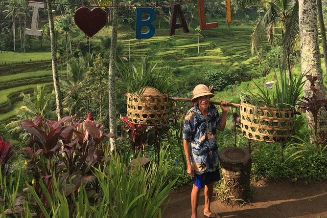 Point View of Kintamani Vulcano and Ubud Tour - Why the Kintamani and Ubud combo works so well