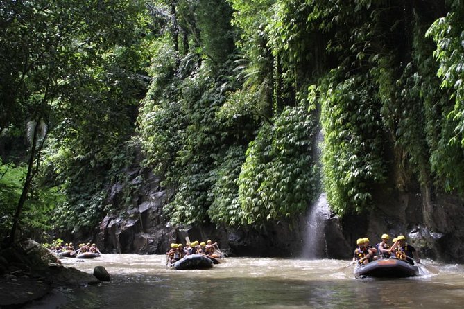 Premium Ayung River White Water Rafting in Bali - Mason Adventures: where the safety briefing sets the tone