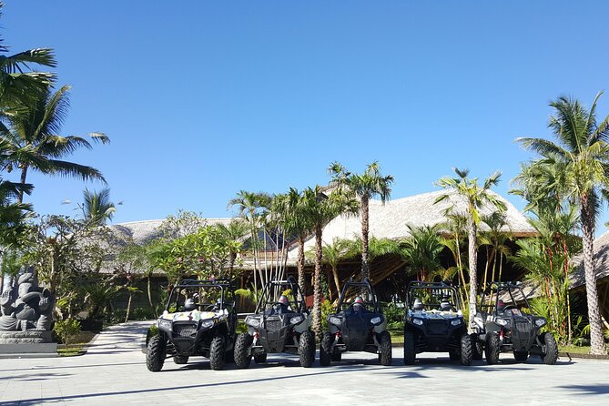 Premium White Water Rafting and Jungle Buggies in Bali - Timing, Pickup, and Group Size: A Full Half-Day Plan