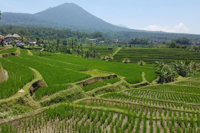 Private 4-Day Tours - Best Bali Tours Package - Best of Bali Highlights - Day 3: Lempuyang Heaven Gate, Tirta Gangga, Virgin Beach, and Tenganan Ancient Village