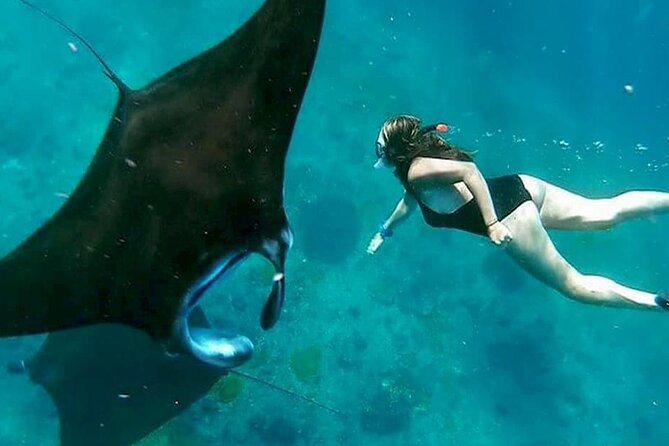 Private All Inclusive Nusa Penida Snorkeling and Tour - Key highlights you’ll care about