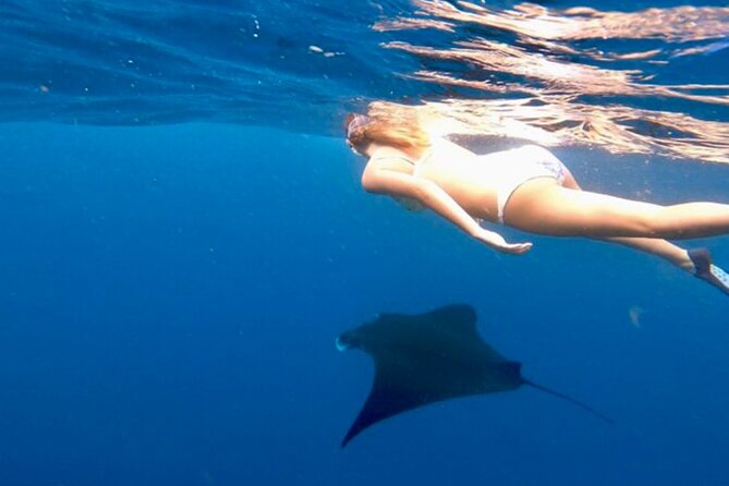Private All Inclusive Nusa Penida Snorkeling and Tour - Sanur Harbour to Penida: the smooth handoff you want at 6 am
