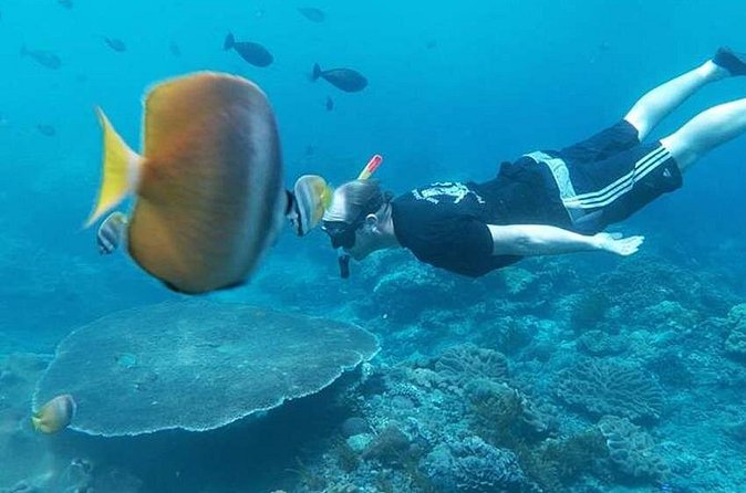 Private All Inclusive Nusa Penida Snorkeling and Tour - Kelingking Beach: the view is worth it, but the trek is the real test