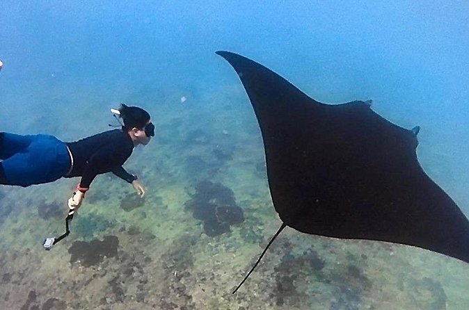 Private All Inclusive Nusa Penida Snorkeling and Tour - Who should book this tour (and who should skip it)