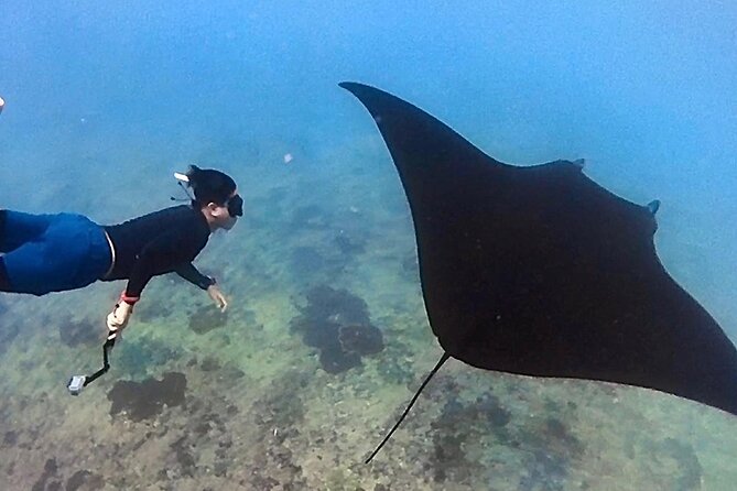 Private All Inclusive Nusa Penida Snorkeling and Tour - Manta Point snorkeling: the main event, planned around your chances to see them