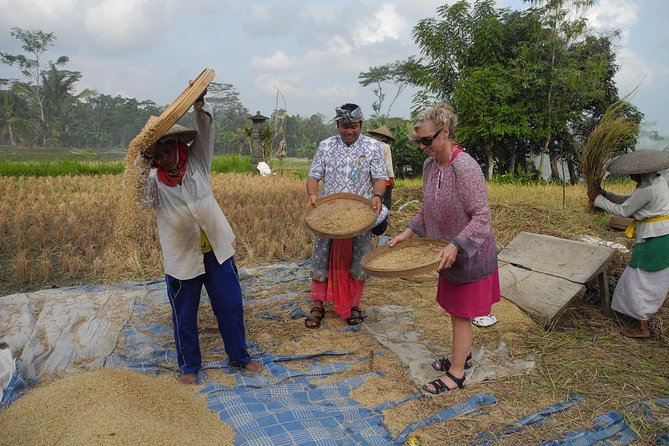 Private Bali Countryside Tour guided by AGUS - Temple Courtyards in Batuan: Puseh Batuan and a Traditional House Compound