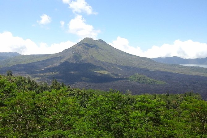 Private Bali Countryside Tour guided by AGUS - Tegalalang Rice Terraces: Short Time, Great Views