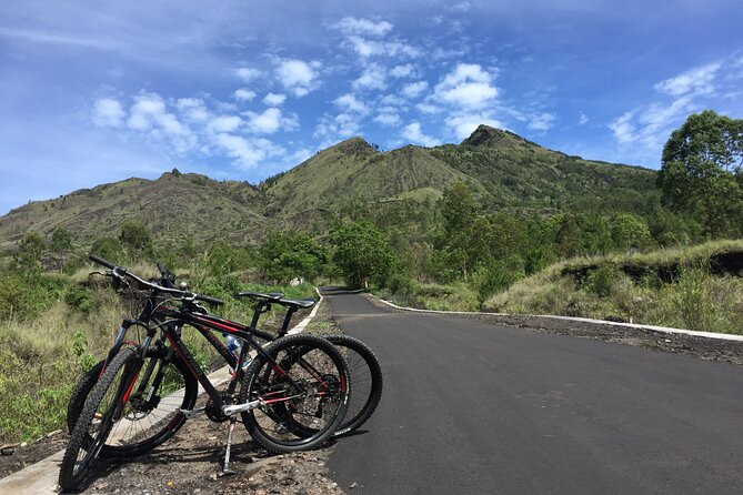 Private Bali Day Tour - Tegalalang - Kintamani and Temple Tour - Tegalalang rice terraces: the photo stop with rules of the road