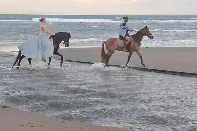 Private Bali Horse riding at saba beach - Horses, guides, and safety: what to trust, and what to watch