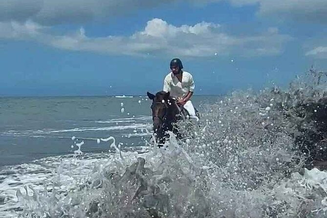 Private Bali Horse riding at saba beach - Best time to ride: sunset beauty versus midday heat