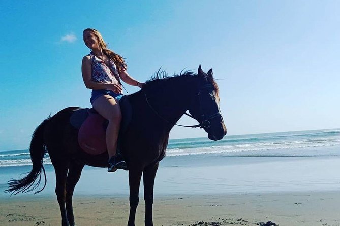 Private Bali Horse riding at saba beach - Price and value: is $43.79 per person a good deal?