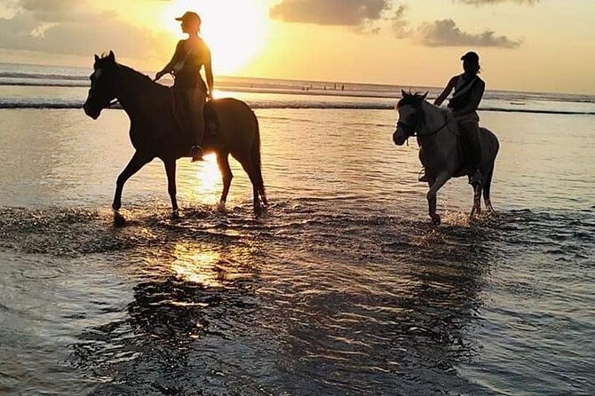 Private Bali Horse riding at saba beach - Who this fits best (and who should choose another activity)