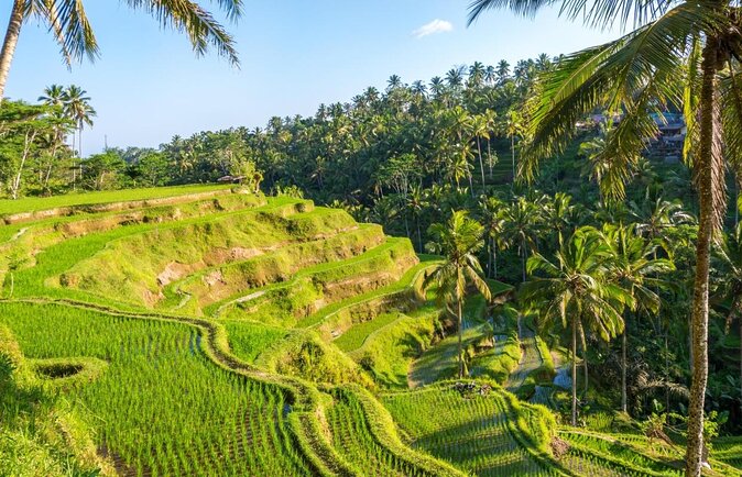 Private Bali Tour - All Inclusive - Key Things That Make This Private Bali Tour Worth Your Time