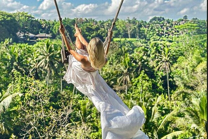 Private Bali Tour - All Inclusive - Price And Logistics: What You’re Actually Paying For