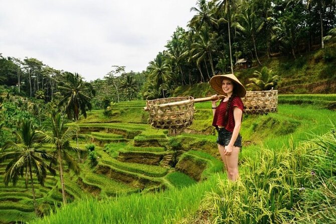 Private Bali Tour - All Inclusive - Sacred Monkey Forest Sanctuary: More Than Just Monkey Photos