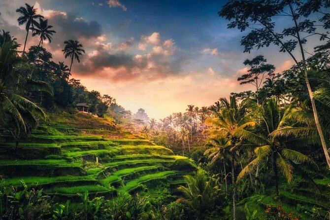 Private Bali Tour with Lisensed Bali Driver - Tegenungan Waterfall: a photo-friendly stop that stays efficient
