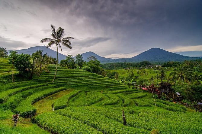 Private Chartered Car to Bali Temples With Besakih Temple - Mount Batur and Kintamani: views and lunch without the stress
