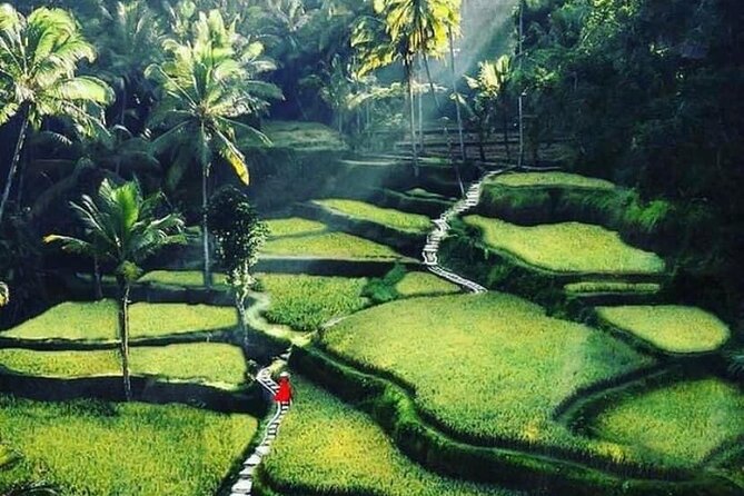 Private Customized Tour with Local Guide - Why a customized private day works from Kuta