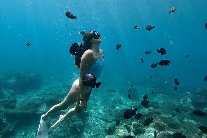 Private Customized Tour with Local Guide - How the day is paced (so you don’t feel whipped)