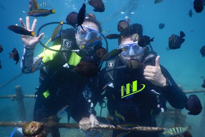 Private Diving Experience in Nusa Dua with Hotel Pick Up - Key points at a glance