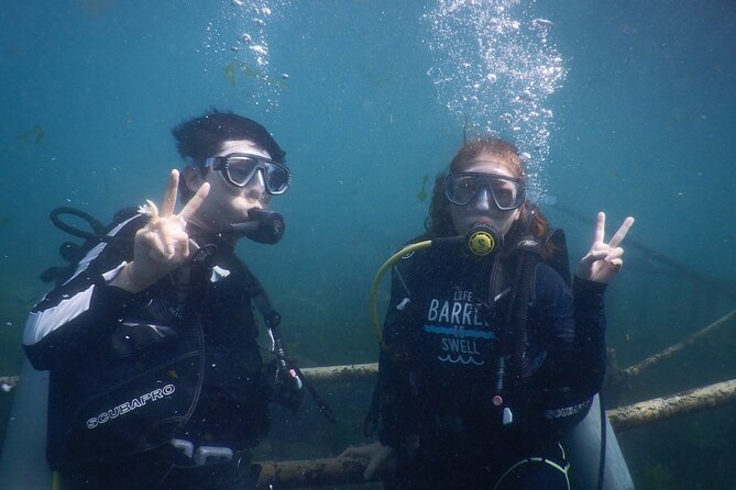 Private Diving Experience in Nusa Dua with Hotel Pick Up - Hotel pickup from Nusa Dua and Jimbaran: convenient, but with boundaries