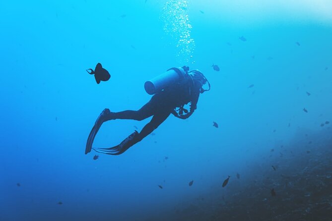 Private Diving Experience in Nusa Dua with Hotel Pick Up - Equipment, locker/shower, and the small stuff that saves time