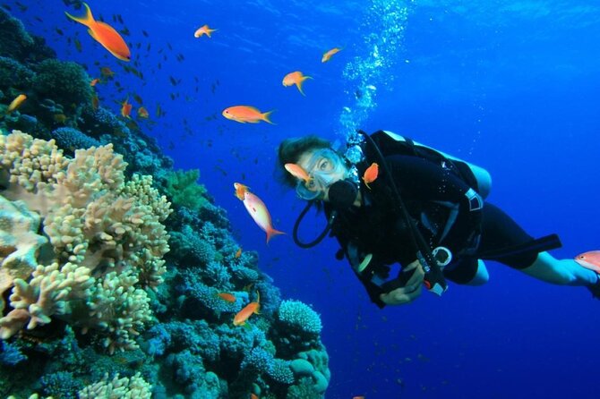 Private Diving Experience in Nusa Dua with Hotel Pick Up - The 2-hour schedule: what happens from start to finish