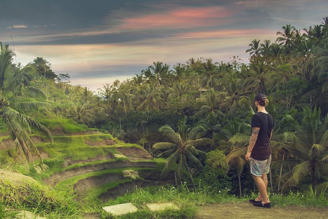 Private Full-Day Bali Tour - Stop 2: Sacred Monkey Forest Sanctuary—shade, temples, and the monkey rules