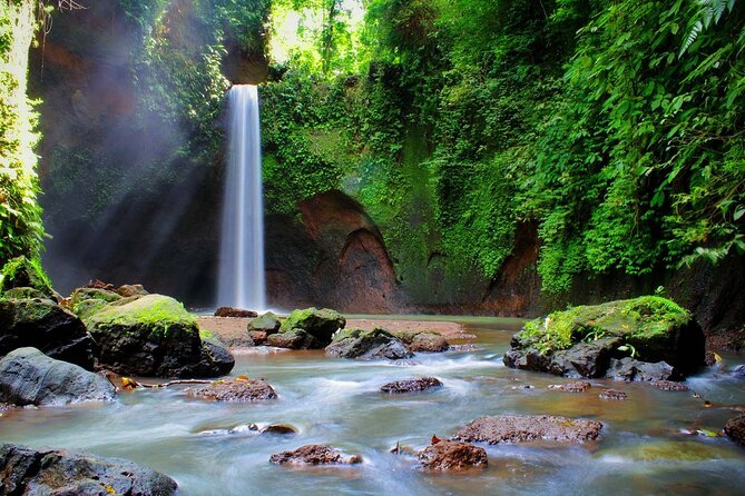 Private Inclusive Tour: The Best Of Ubud With Jungle Swing - Private door-to-door pickup that actually saves your day