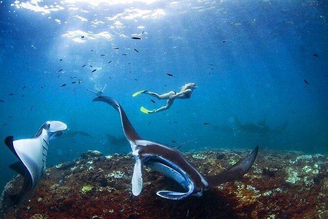 PRIVATE Nusa Penida on Boat Snorkeling & Island Tour (INCLUSIVE) - Getting Going from Kuta, Seminyak, or Sanur: Pickup at 07:00