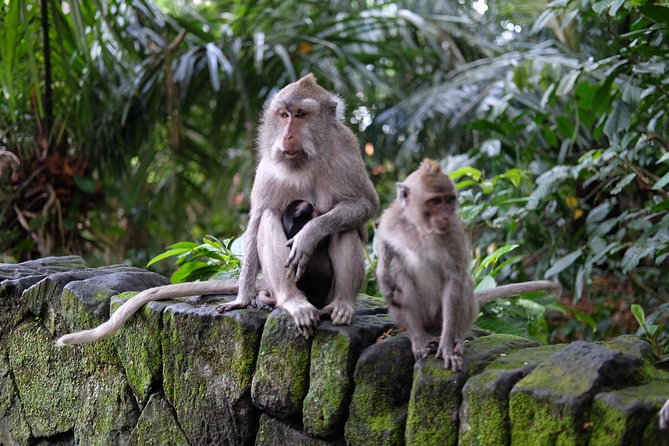 Private Shore Excursion: Ubud Art Villages and Sacred Monkey Forest - Batuan Village: Art on Display in the Village-Gallery Mode
