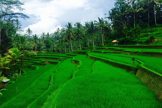 Private Shore Excursion: Ubud Art Villages and Sacred Monkey Forest - Ubud Art Market Shopping: Your Best Bargaining Chance (If You Plan First)