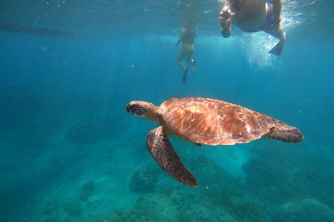 Private Snorkeling in Manta Bay, Gamat Bay & Wall at Nusa Penida - Key Highlights at a Glance