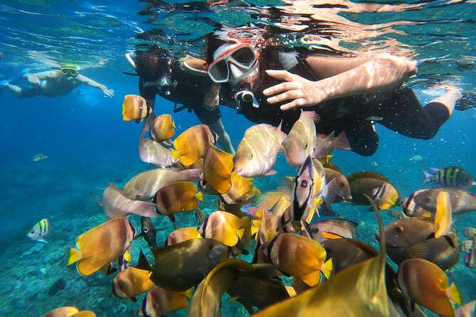 Private Snorkeling in Manta Bay, Gamat Bay & Wall at Nusa Penida - Travel Between Bali and Nusa Penida: Transfers + Fast Boat