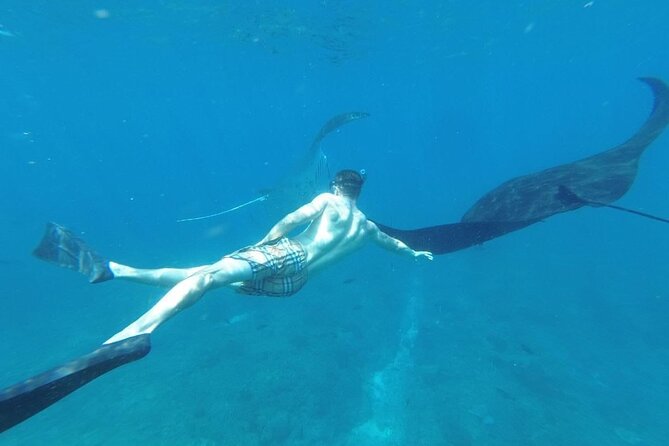 Private Snorkeling in Manta Bay, Gamat Bay & Wall at Nusa Penida - Spot 2: Gamat Bay for Reef Action You Can Actually Enjoy
