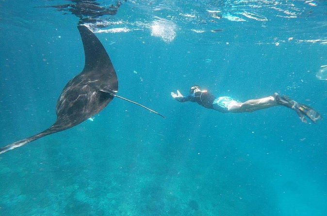 Private Snorkeling in Manta Bay, Gamat Bay & Wall at Nusa Penida - What the Instructor Actually Changes (Beyond Pointing)