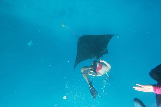 Private Snorkeling in Manta Bay, Gamat Bay & Wall at Nusa Penida - Private Snorkeling Boat: Why Fewer People Matters
