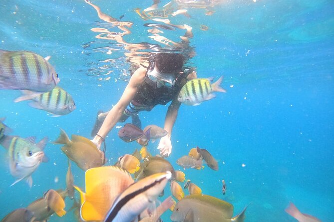 Private Snorkeling in Manta Bay, Gamat Bay & Wall at Nusa Penida - The 9:30 AM Start and How This Fits Into Your Day