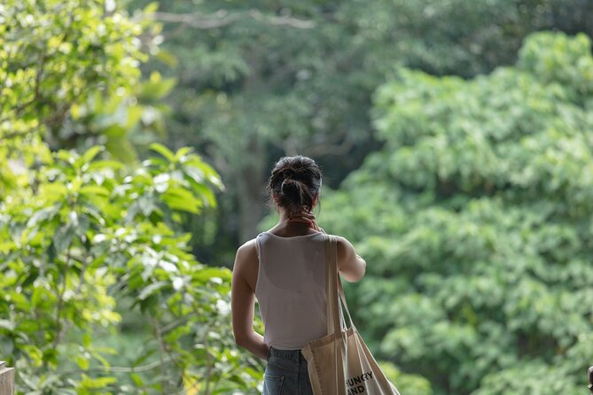 Private Tour : Bali Best Waterfalls, Temples and Monkey Forest - Elephant Cave Temple: the name can trick you