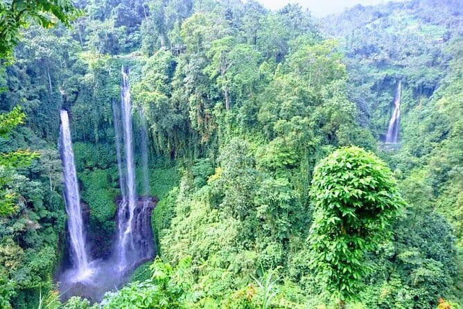 Private Tour: Bali Heritage Sites - Mount Batur (Kintamani Volcano) Stop: Caldera Views With Lunch Time