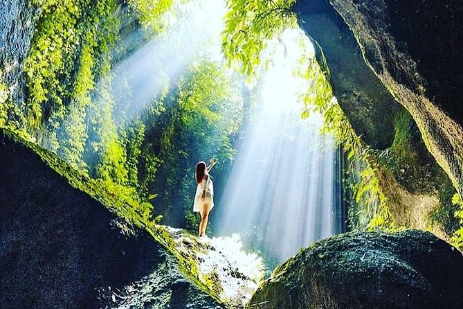 Private Tour: Bali in a Day - Stop 4: Tegalalang Rice Terraces and the subak irrigation system