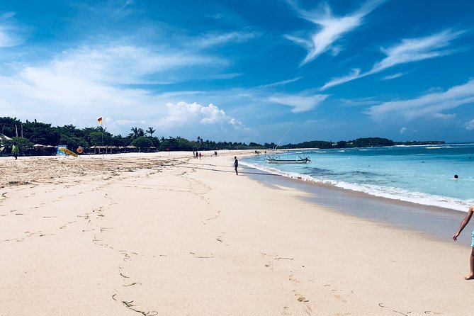 Private Tour: Bali in a Day - What about flexibility: building a day that fits you
