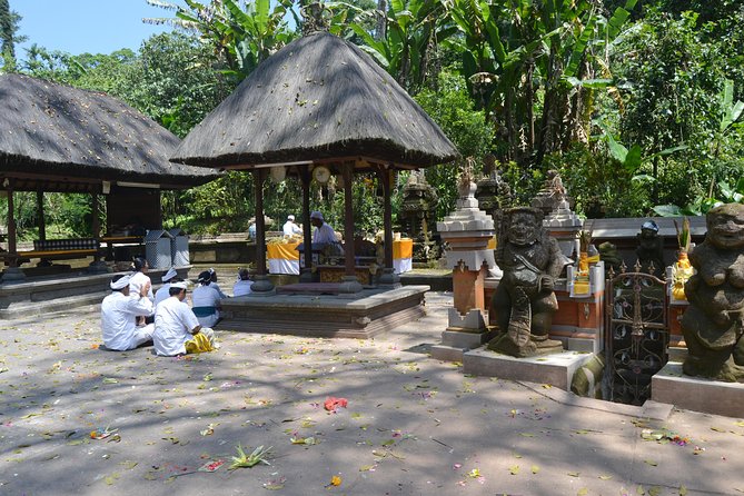 Private Tour: Bali Temple and Countryside Tour - Jatiluwih Terraces and subak: UNESCO views with farm reality
