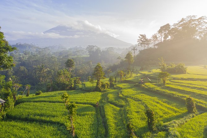 Private Tour: Bali Temple and Countryside Tour - Price and logistics: what $65 really buys you